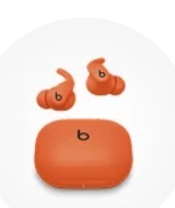 Earphones